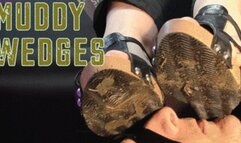 CC - Muddy wedges