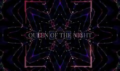 Light up, My good boy