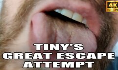 KingMarti : Tinys Great Escape Attempt - Giant Vore - 4k UHD 2160p