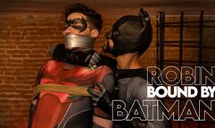 Batman Hex captures and controls Robin Tonny, bending him to his will (720p ENG-sub) Bondage Male - Rope Bondage - Gay Bondage - Super Hero - Male Domination