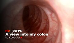 [HD 60 FPS] - A view into Koopchy's colon - ENDOSCOPE VORE