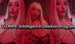 TITWIPE: INTELLIGENCE DELETION PROGRAM
