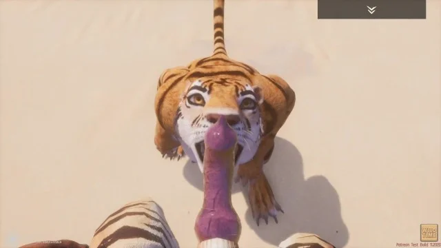 Tigress Furry Porn Animated - Wild Life / Tiger Furry Porn POV Porn Video