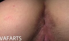 Hairy Ass Fart Worship