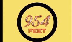 Izzy plays with my nut load