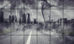 LP-273cs -Kim Chi Gets A Taste