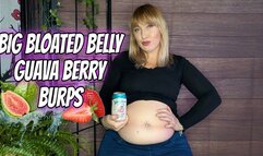 Big Bloated Belly Guava Berry Burps