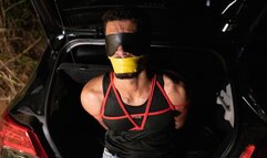 CAPTURE 2 (SHORT FILM)