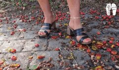 Cherries under hard wooden Mules