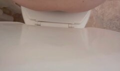 A 7 video compilation of toilet farts, plops and the runs all from backside view