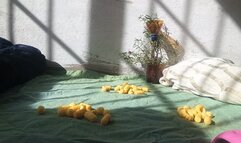 Vannesa using her beautiful feet to trample and crush (7)