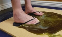 Karina Navy Blue Flip Flops Stuck in Glue