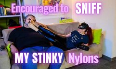 MCD - ENCOURAGED TO SNIFF MY STINKY NYLONS - Full HD