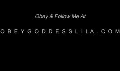 Multi Credit Card Compliance Training