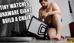 KingMarti: Tiny Watches Unaware Giant Build A Chair - Full HD 1080p