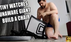KingMarti: Tiny Watches Unaware Giant Build A Chair - 4k UHD 2160p