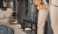 000050 Dama Vida humiliates her puppy