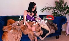 Scarlett's Fur Coat Frenzy: Part 4 of 4