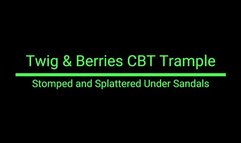 Stomped and Splattered Under Sandals