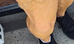 Tempest at transit center flexing calves