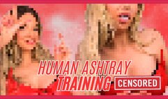 480WMV Human Ashtray Training (Beta Safe Censored Loser Porn)