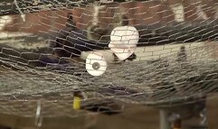 Dylan Gets Butt Fucked