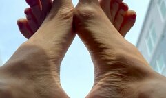 Exquisite Arches & Toes on Your Windshield