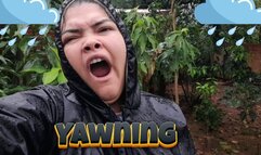 Yawning in the rain - It's about to get us wet