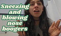 Sneezing a lot and blowing my nose showing little boogers