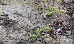 Muddy Sandal Disaster Bare Sole Sinking