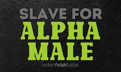 Slave for Alpha Male Audio-Visual