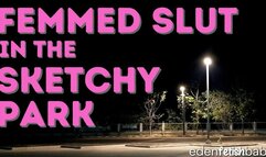 Femmed Slut in the Sketchy Park Audio-Visual