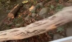 With girlfriend into sex forest