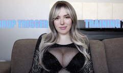 DROP Trigger Training 7