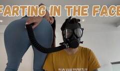 My neighbour chokes on my farts