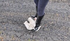 Teddy Bear Crushing and Trampling Under my Sexy Dirty Heeled Cowboy Boots