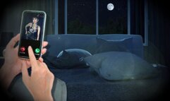 Inferior Seed: Out-Fucked by Superior Black Cock -CUCKOLD , CUCK, BBC