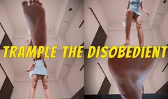 Trample The Disobedient- Ebony Goddess Rosie Reed Foot Fetish Giantess POV Domination- 1080p HD