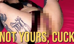 Not Yours, Cuck (Pixelated Pussy Rubbing)