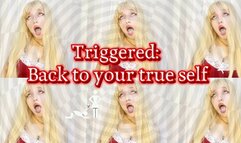 Triggered: Your daily dose of danger