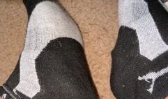 Mystical Wolf gives you a close zoom of wide feet