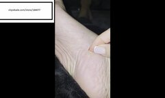 Velvet itches and picks dry feet (no audio)