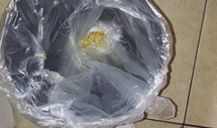 Public Diner Bathroom Trash Can Pee Destruction