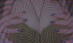 Currency of Devotion (Tits)