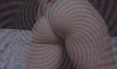 Currency of Devotion (Ass)