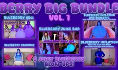 Berry Big Bundle Vol. 1