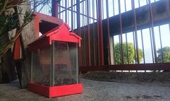 How to use your feet to grab everything while letting the soles of the feet show (7)