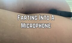 Phoenix Bates Farts Into A Microphone 1080p - ASMR - Fart Fetish - Hairy Asshole