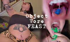 Vore Feast! Swallowing Rubber Toy Lizards, Cars, Gummy Snakes, Hotdogs and Sausages