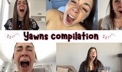 Yawns compilation, I can't stop!!